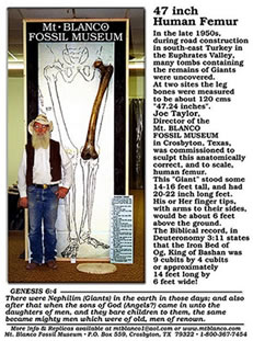 Mt. Blanco Fossil Museaum